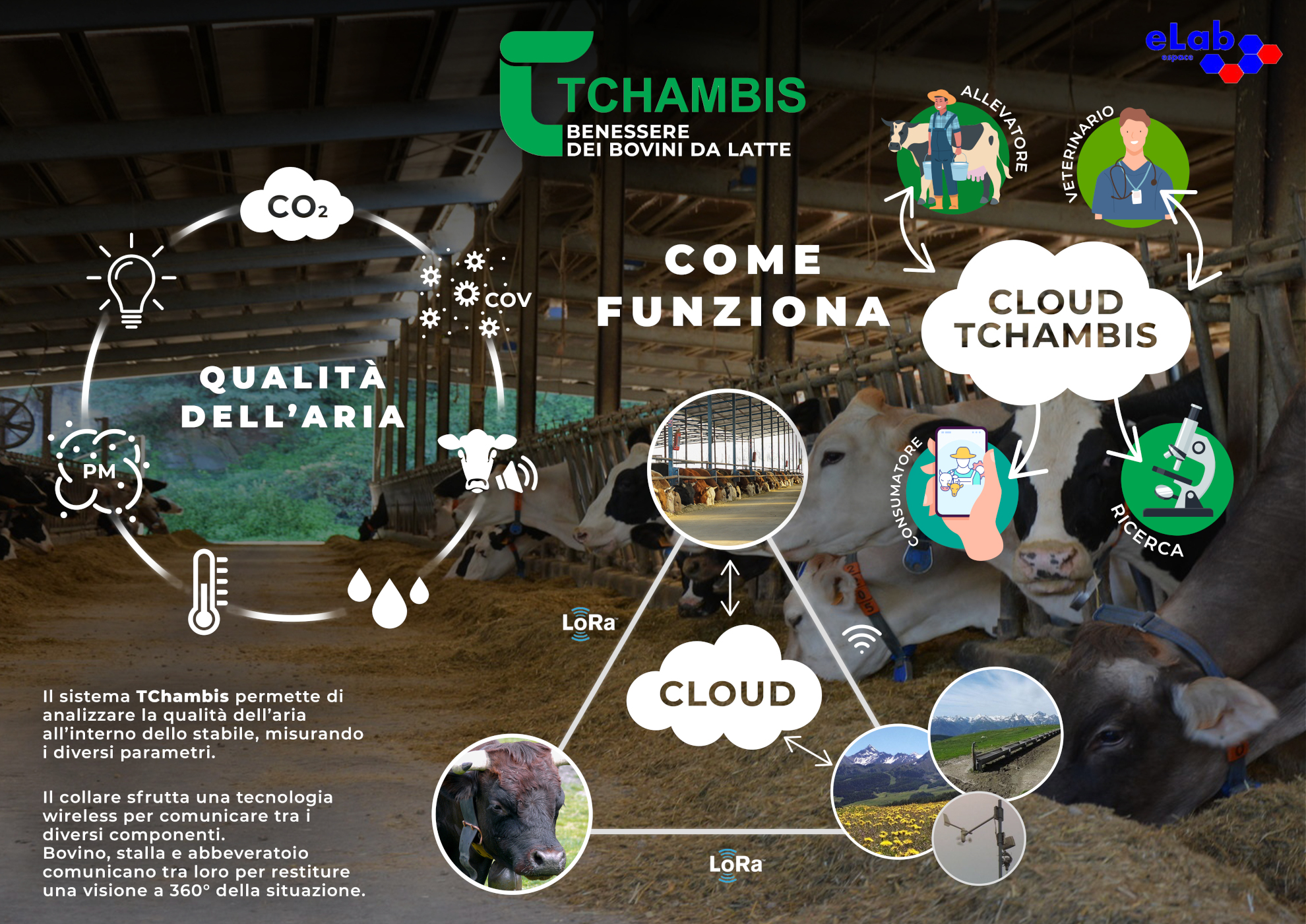 Tchambis - Come funziona